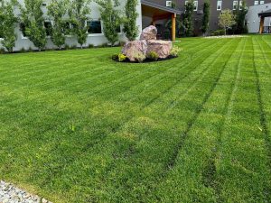 landscape maintenance company