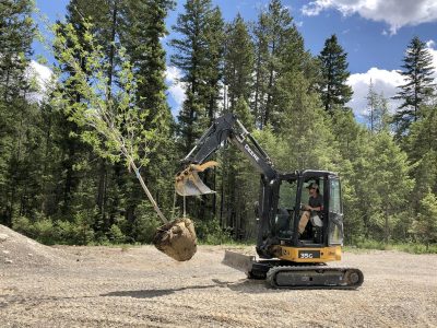 landscaping with excavator in golden bc
